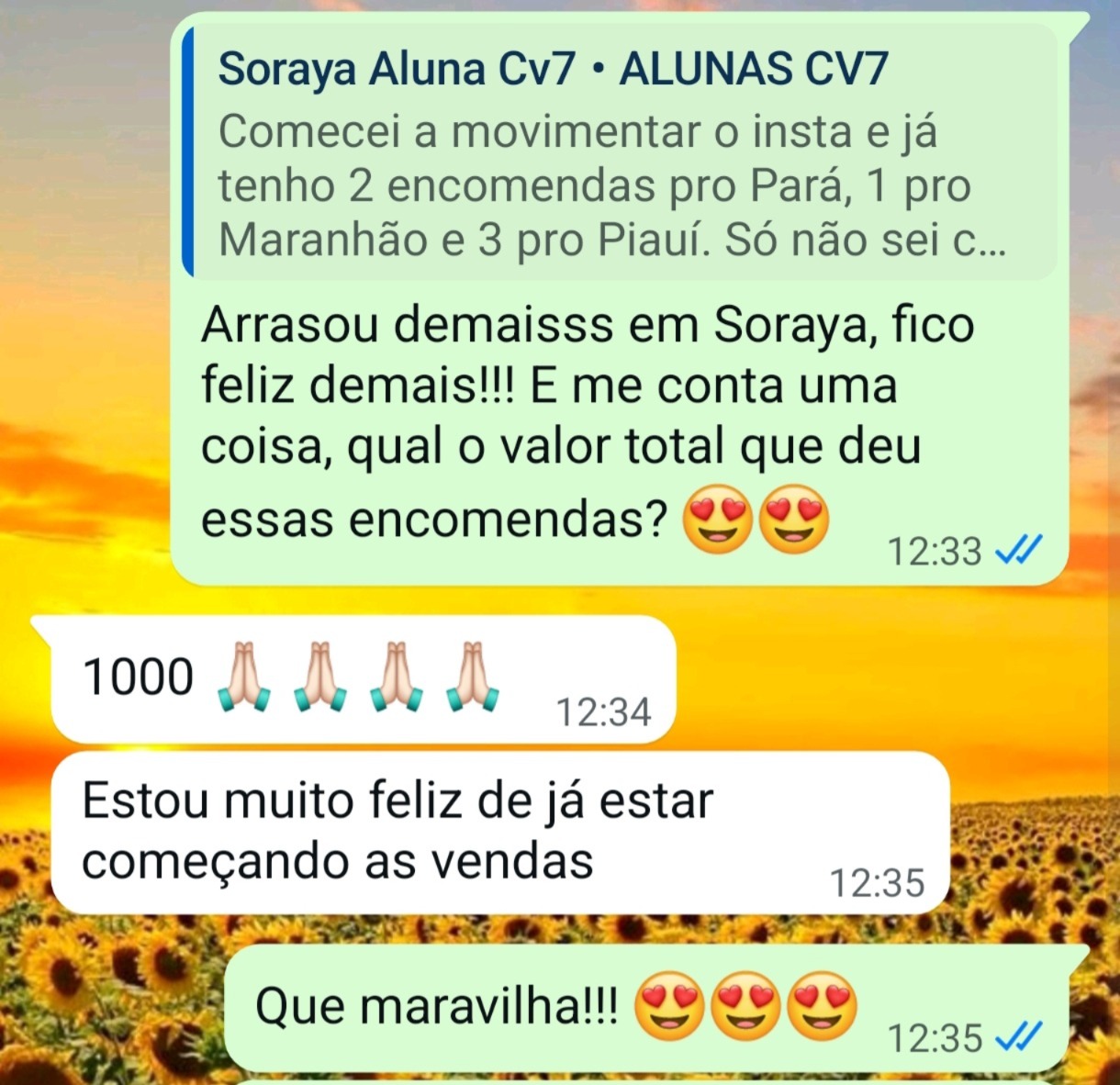 Print da Soraya contando R$ 1.000 em encomendas